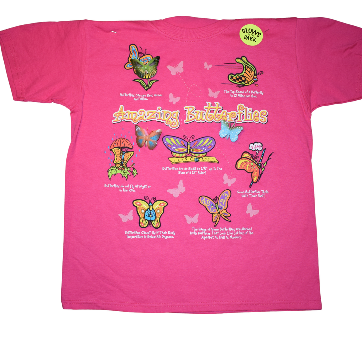 Amazing Butterflies – Jr Ranger Shop