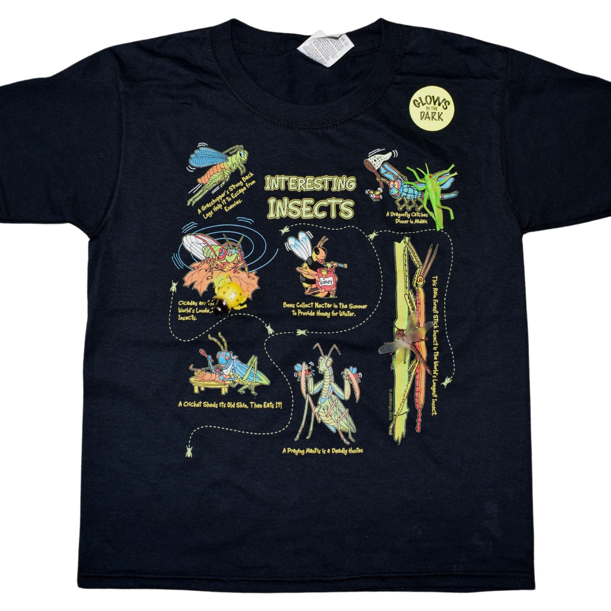 InterestingInsects_1200x1200.