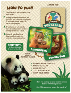 Jr Zookeeper Animal Babies