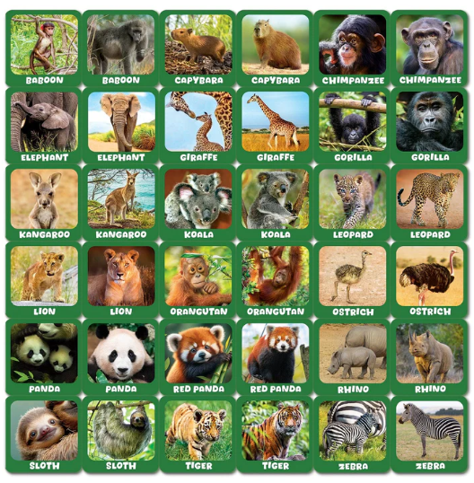 Jr Zookeeper Animal Babies
