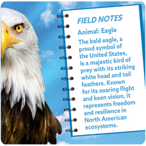 Eagle Puzzle