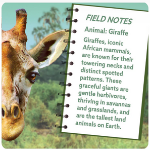 Giraffe Puzzle