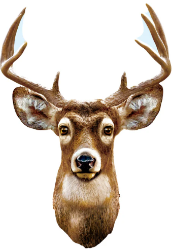 White Tail Deer Puzzle