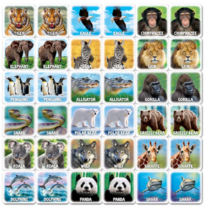 World of Animals Matching Game